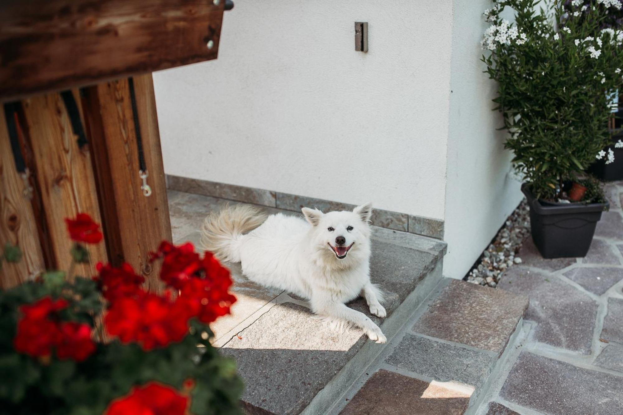 Grosskarnaiderhof Appartements-Bauernhof-Natur Pur Лусон Екстериор снимка