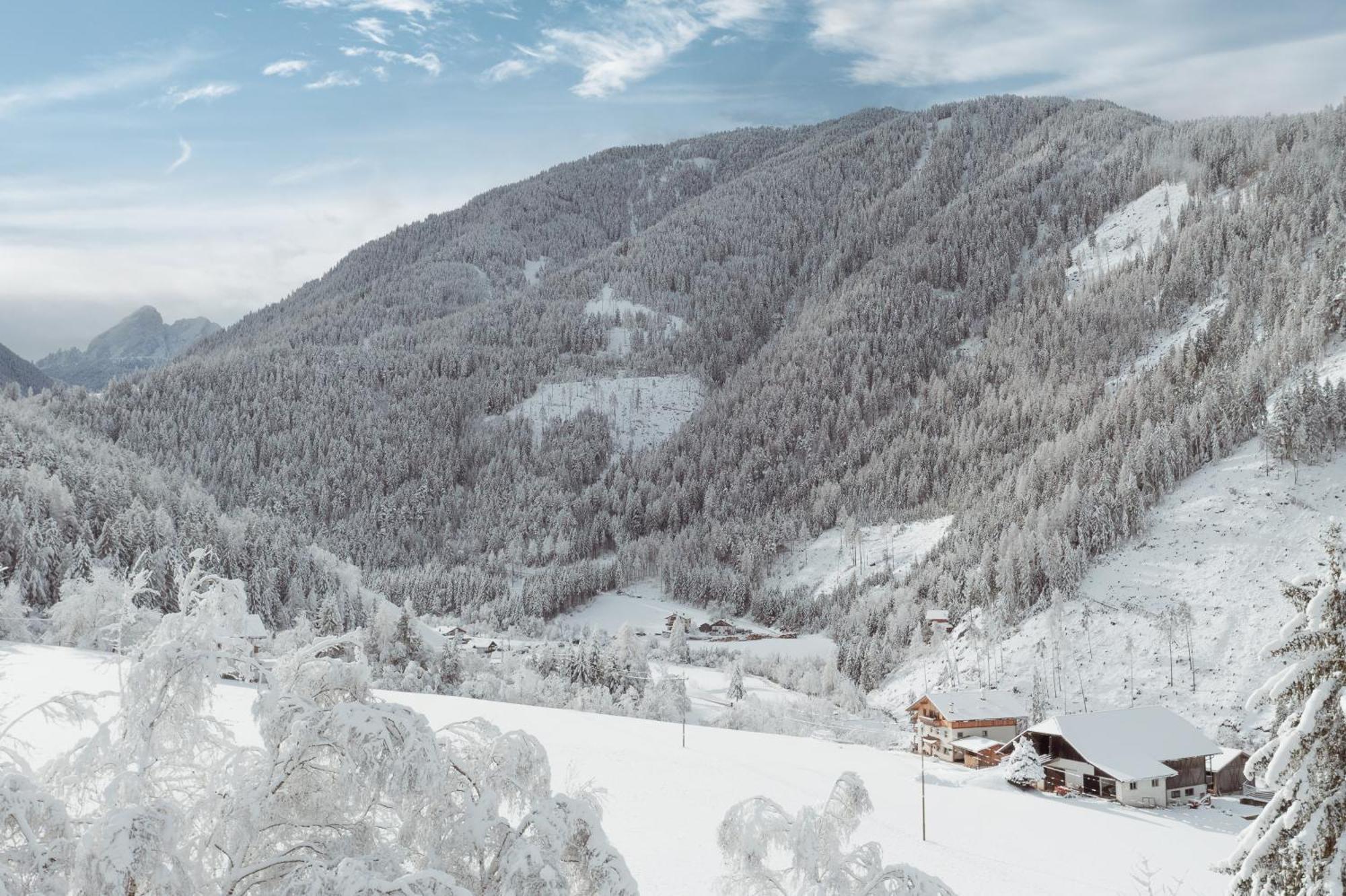 Grosskarnaiderhof Appartements-Bauernhof-Natur Pur Лусон Екстериор снимка